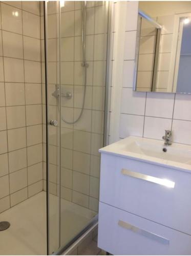 une salle de bain avec douche et lavabo dans l'établissement Studio au bord du lac, à Saint-Gérons