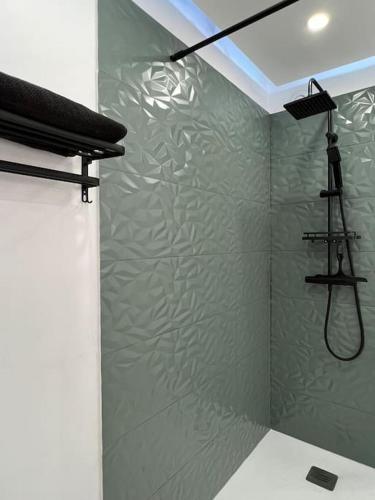 eine Dusche in einem Badezimmer mit einer grünen Wand in der Unterkunft F2 à 12 mn de Paris avec Sauna - Parking privé in Argenteuil