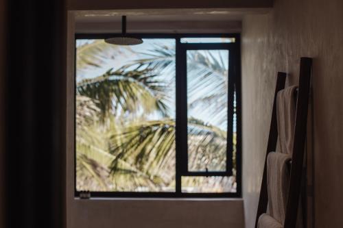 a window in a room with a palm tree at UMi Tulum in Tulum