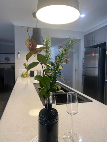 a black vase with a plant on a counter with a wine glass at Tranquility in Oberon