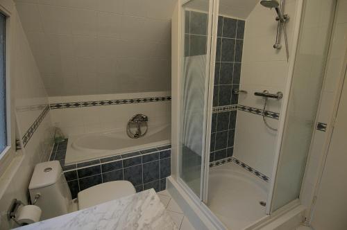 een badkamer met een douche, een toilet en een bad bij Holiday Home De Zuwe - Loosdrecht in Kortenhoef