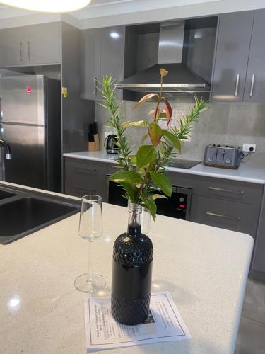 a vase with a plant in it on a kitchen counter at Tranquility in Oberon