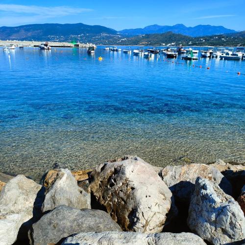 a large group of boats in a body of water at Sweet home Palinuro in Palinuro