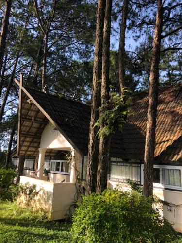 a house with a shingled roof and trees at Smiling Pine Dalat in Ấp Man Ling