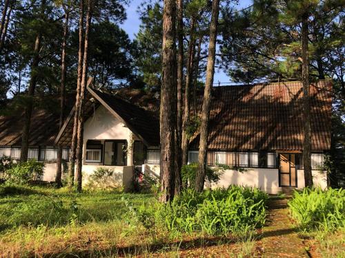a house in the woods with trees at Smiling Pine Dalat in Ấp Man Ling