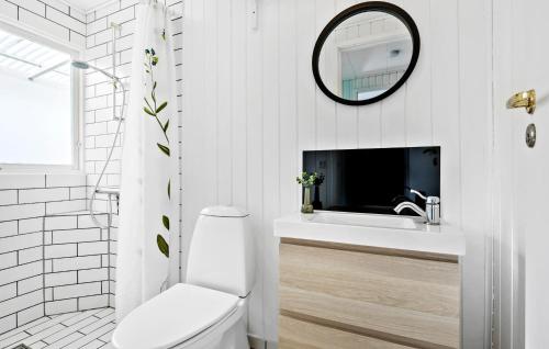 a bathroom with a toilet and a sink and a mirror at 2 Bedroom Awesome Home In Farsø in Farsø