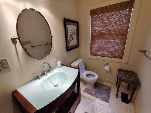 a bathroom with a sink and a mirror and a toilet at Paradise View Cabin on Massanutten Mountain in Luray