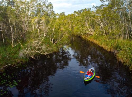 a person in a kayak on a river at Halse Lodge Noosa Heads in Noosa Heads