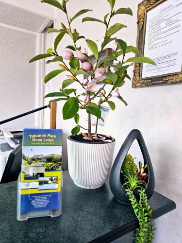 a plant sitting on top of a desk with a box at Takanini Park Motor Lodge in Auckland