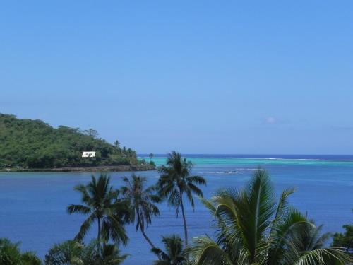 a view of a body of water with palm trees at Fare Arana Mooréa Guesthouse in Atiha