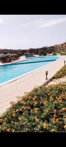 قريه ماليبو الزعفرانه