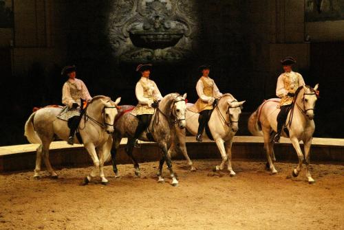 a group of people riding on horses in a ring at Relais De La Haute Pommeraye in Apremont