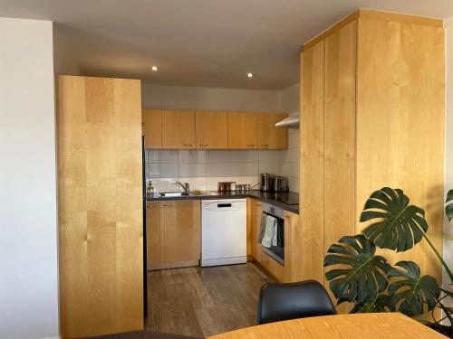 a kitchen with wooden cabinets and a white dishwasher at Apartment in the heart of the city in Christchurch