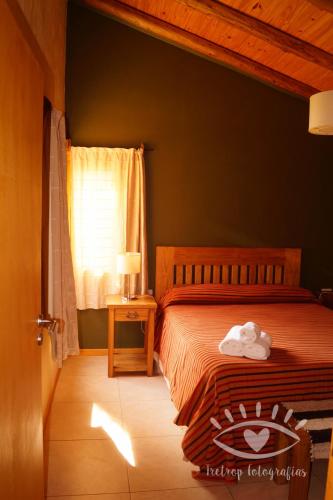 a bedroom with a bed and a lamp and a window at Cabañas Monte Coiron in Malargüe