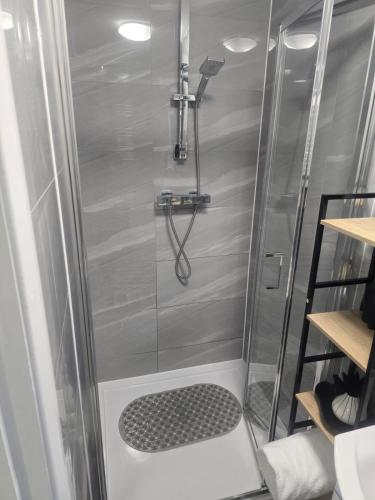a shower with a glass door in a bathroom at Mini Cosy Studio Flat Milton Keynes in Milton Keynes
