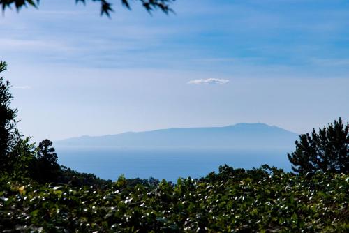 an object in the sky over a mountain at Hanare Yado Yosizumi in Ito