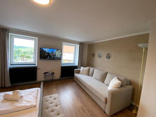 TV a/nebo společenská místnost v ubytování Lehmgefühle mit Mainblick
