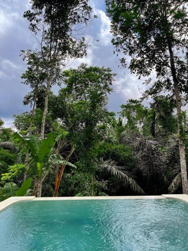 a swimming pool with trees in the background at Umah Tamu Villa in Penginyahan
