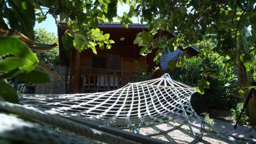 a hammock in the yard of a house at Lemon Garden Lodge in Cıralı