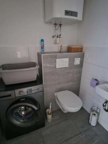 a bathroom with a washing machine and a toilet at Appartement Nähe Zentrum Steyr in Behamberg