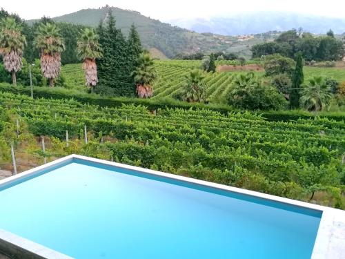 a view of a tea plantation from the roof of a house at Casa das Feitorias Douro Valley in Baião