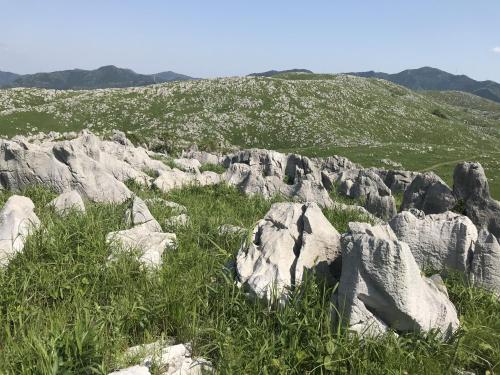 a group of rocks in a field with grass at Ichinomata Onsen Grand Hotel in Shimonoseki