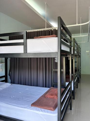 a group of bunk beds in a room at Khaosok Secret Hostel in Khao Sok National Park
