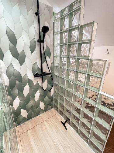 d'une douche avec des portes en verre et un pommeau de douche. dans l'établissement Gite en appartement en sud ouest, à Saint-Martin-de-Hinx