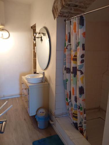 une salle de bain avec un lavabo et un rideau de douche dans l'établissement La maison du Tuadou, à Cordes-sur-Ciel
