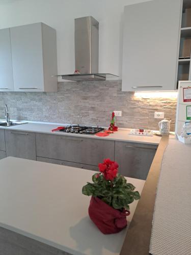 Η κουζίνα ή μικρή κουζίνα στο La casa dei butei