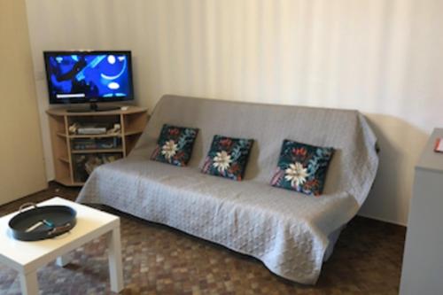 un salon avec un canapé et une télévision dans l'établissement T1 comfort with parking and garden, à Gruissan