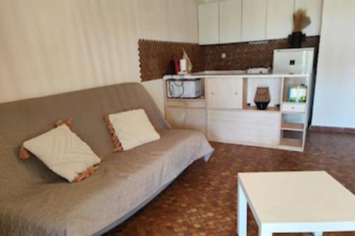 un salon avec un canapé et une table dans l'établissement T1 comfort with parking and garden, à Gruissan