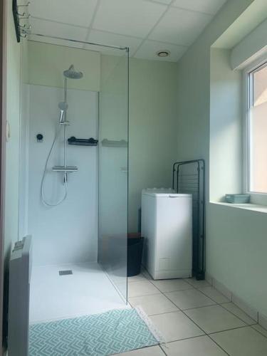 une salle de bain avec une douche en verre et des toilettes dans l'établissement Confortable au pied du Vercors, à Pont-en-Royans