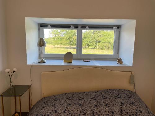 une chambre avec un lit et une fenêtre dans l'établissement Gîte à la campagne 1 chambre Les Grandes Maisons Espace jacuzzi hammam SPA, à Lorris