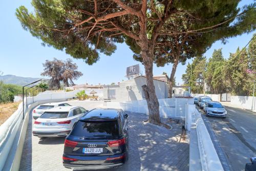 a car parked in a parking lot next to a tree at RG Duque de Aveiro in Málaga