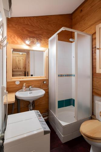 une salle de bain avec douche et lavabo dans l'établissement Duplex en centre station des Coches - Ménage et linge de maison inclus, à La Plagne Tarentaise