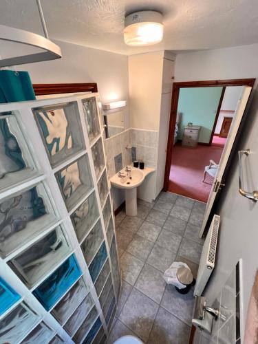 a bathroom with a toilet and a sink at Devon Bungalow in Holsworthy
