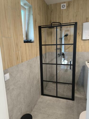 a shower with a glass door in a bathroom at Leśna Osada in Bystrzyca