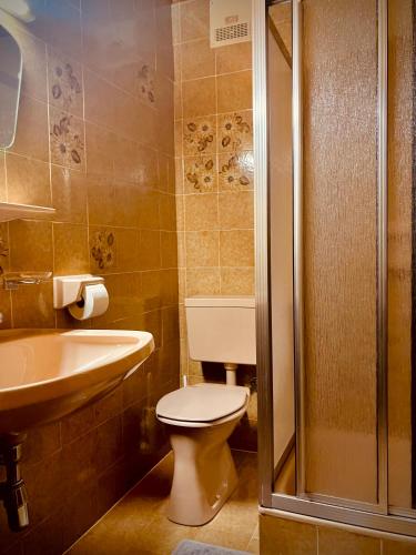 a bathroom with a toilet and a sink and a shower at Gasthof Rösslhof in March