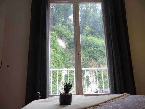 - une chambre dotée d'une fenêtre avec une plante en pot sur un lit dans l'établissement Appartement lumineux au centre de dieppe, calme et confortable, à Dieppe