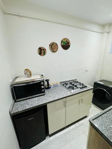 a kitchen with a microwave and a stove top oven at Moly House in Aswan