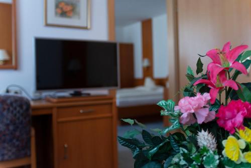 TV a/nebo společenská místnost v ubytování Fleger Appartements