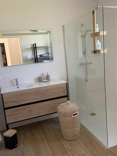 une salle de bain avec un lavabo et une douche avec un miroir dans l'établissement Maison lumineuse - vue sur mer à 150m de la plage, à Île-de-Batz
