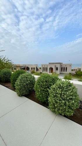 Κήπος έξω από το Escape Villa