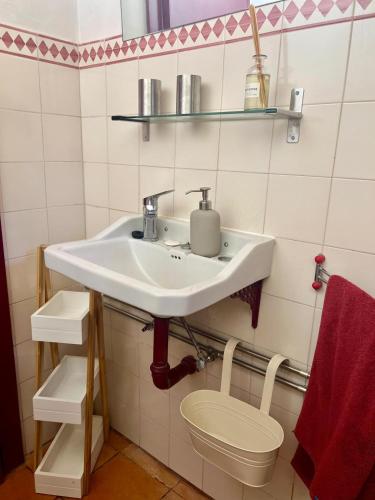a bathroom with a sink and a toilet at Aveleira EcoCasa in Melgaço
