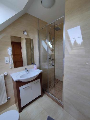a bathroom with a sink and a shower at Domek HAWRAŃ in Jurgów