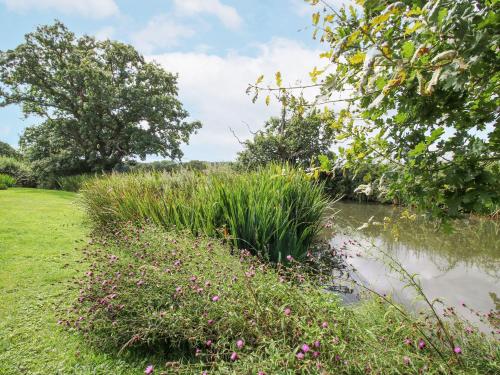 a garden with grass and flowers next to a pond at Bangor in Wrexham