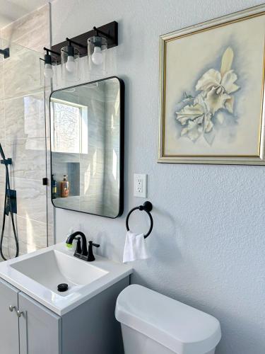 a bathroom with a white toilet and a mirror at 1BR Apt 7 mins Integris Monthly 15 Off #41B in Oklahoma City