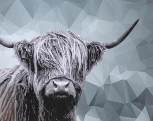 a close up of a cow with long hair at Loch Ness Drumnadrochit Hotel in Drumnadrochit