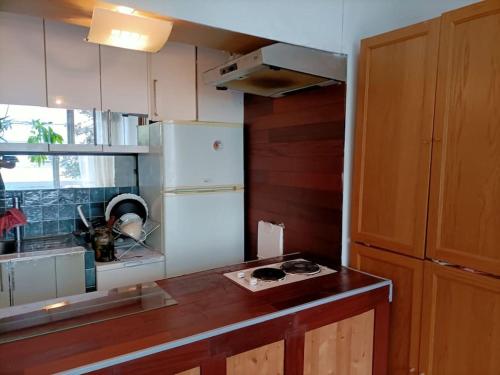 une cuisine avec un réfrigérateur blanc et un comptoir dans l'établissement Green Paris, à Neuilly-sur-Seine